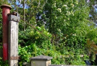 Surprisingly the level crossing gate on the eastern side of Cappagh level crossing survives, seen here across the former trackbed.