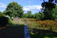 A view looking east towards waterford from the end of the platform at Cappagh. The small goods yard was located beyond the garden shed.