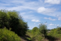 This the trackbed of the former line on the Mallow side of the level crossing at Carrolls Cross Station. As the derelict track was only removed in the late 1990s, there are still some ballast evident on the trackbed.