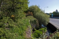 A view of the overgrown trackbed on the Bridewell River bridge, adjacent to Castle Bernard. This view is looking east towards Cork. Just beyond this point the line originally crossed the N71 on an overbridge.