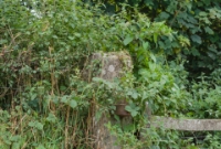 On the Kilkenny side of the old Ballyrafton crossing is a sole surving concrete post for the one time crossing gates. This one retains its metal hinges.