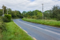 This is the site of the second level crossing, &#39;Jenkinstown&#39;, located north of Castlecomer Junction on the branch line. The line crossed the N78 road at right-angles on its way to Castlecomer, although there is little evidence of the crossing today.