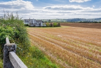 A view from the former Jenkinstown level crossing, looking south towards Castlecomer Junction. The fencing in the foreground once formed part of the crossing. The low embankment on the south side of the crossing here has been ploughed back into this field.