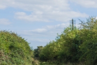 Another view taken from the south end of the former Castlecomer Junction, looking towards Kilkenny, with the railway telegraph pole visible.