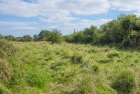 This is the site of Castlecomer Junction, looking south towards Kilkenny. The hedge line on the right follows the route of the main line to Kilkenny, while the Castlecomer branch converges in the foreground. A sole railway line telegraph pole remains in situ on the trackbed to Kilkenny.