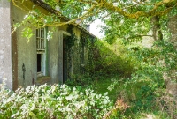 When the branch line to Castlecomer was built in 1922, a row of single storey houses, constructed from prefabricated concrete, were built alongside the junction to house railway staff employed on the branch. The houses remain to this day, albeit abandoned.
