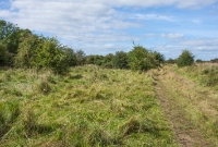 A view looking the opposite way north from the previous image, with the old main line to Portlaoise continuing staight ahead, while the dirt road follows the formation of the branch line to Castlecomer.