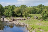 The remains of the second and longer bridge which carried the railway across the River Dinin are also still evident, as viewed from the adjacent N78 road. Both the concrete abutments and piers remain in situ.