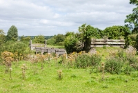 The second and longer bridge which once spanned the River Dinin south of Dysart. This view is looking north towards Castlecomer. Again, old railway sleepers have been placed across the old bridge abutment. The embankment leading to the bridge itself has been partially removed.