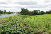 The old railway trackbed at Dysart crossing, looking south towards Kilkennny. The much widened N78 road is on the left and in the distance is the first of two bridges spanning the Dinin River. The original curved stone built road bridge crossing the river has long since been demolished.