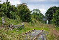 The same location, but looking west towards the station at Castletown, showing the extant of the overgrowth across the disused track. In this view can be seen a farmers crossing, and the &#39;Down&#39; distant semaphore signal protecting the level crossing at Castletown Station.