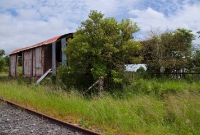 Closer view of the other goods shed at Castletown, which is of a corrugated iron structure and looking much forlorn nowadays. On the right can be seen a loading back, now very overgrown.