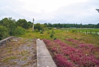 A view looking south towards Claremorris from the end of the single platform at the former Charlestown Station. The trackwork was at this time still in situ but overgrown.