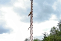 The lattice posted signal post which once guarded the southern approach to Charestown Station remains in situ, complete with counter weight and oil lamp.