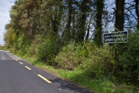 This is the overgrown up platform at the former Clonakilty Jct. A new but vintage style CIE bilingual name board has been reinstated on the platform. The up and down platforms, the latter which was the island were linked by a footbridge.