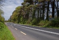 This is the site of the one time very attractive Clonakilty Jct Station, which once had three platforms, of which only the up side remains. This view is looking west towards Bantry, with the overgrown up platform visible to the right of N71 road.