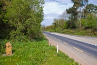 At the west end of Clonakilty Jct there was an overbridge sited here, carrying a small road across the line. After closure in 1961, the bridge was demolished when the N71 was realigned along the former trackbed.