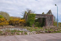 The derelict single road locomotive shed still stands at the north end of Clonakilty Station. The line continued north passing to the left side of the structure, now overgrown by gorse shrubs.