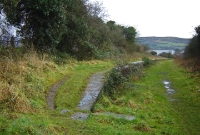 At the Thurles end of Powerstown platform, looking back towards the remaining stub of the line and Clonmel Station.