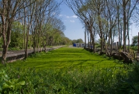 The former Crossbarry Station, looking east towards Cork from main line trackbed. The up and down platforms remain, the latter on the right once had a face serving the Kinsale branch.