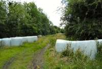 Just a few yards south of the R154 road overbridge was the junction of the Killashandra branch, the site of which is seen here.
