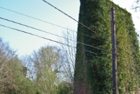 What must have been an impressive looking viaduct in its heyday. The line was built in the 1900s so it is not surprising to find brick and concrete been used.