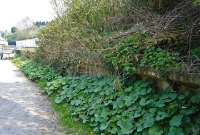 Another shot of the platform at Crosshaven; this end still has its caping on. The platform was of the island type with two tracks either side of its face.