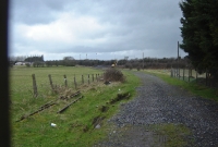 A view looking along the trackbed of the branch which once served the Curragh Racecourse. The trackbed is now used as an access road to the main line. The branch was lifted in 1988.