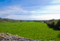 A view looking east towards Cork from the road overbridge at Desert Station. The trackbed along here is unrecognisable, the formation having been ploughed back into fields following the closure of the railway.
