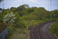 The water tower still survives at the north end of the down platform at Dromin Junction. The tank is visible to the left, covered in shrubs and ivy. The bridge parapets visible on the main line belong to the bridge carrying the railway over the &#39;River Dee&#39; from which the nearby town Ardee was named after.