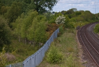 A view of what was once the site of the station buildings at Dromin Jct, now heavily overgrown and fenced off. The derelict Ardee branch platform remains however, the end ramp of which is just visible through the trees and shrubs.
