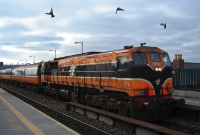 071 Class loco No.072 startles the pigeons at the west end of Drumcondra Station as it powers an afternoon Dublin to Sligo service, formed of the 1970s built Mk2 stock.