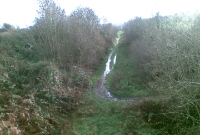 Another view of the trackbed near Drumawnagh, been used now as part of a farm track. The line was lifted after 1960 following the cessation of goods services to Cavan.