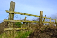 Some of the recovered sleepers from the track lifting in 1964 were used as fence posts north of Dunboyne, as seen here on the former trackbed in February 2009.