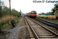 Another 001 Class loco, this time No.021, heads south away from Dundalk with a freightliner bound for North Wall in Dublin in May 1992. The turn out for the Barrack St branch can be seen on the right. ©Colm O&#39; Callaghan