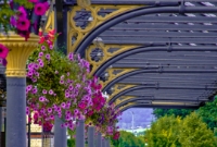 View of the cast iron canopies on platform 1 at Dundalk Station, complete with colourful floral hanging baskets.