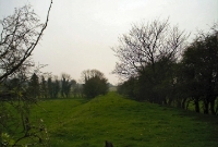A view of the trackbed just south of Dunlavin village, looking south towards Tullow, showing the former railway embankment still in situ.