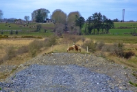 The trackbed south of Dunsandle at Toolobaun level crossing, looking north. Part of the embankment has been removed. In the distance is the cutting whose north end is visible from the station.