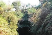 West of Durrow Station is the 418 yard long Durrow tunnel, seen here in 1996 with the track still in situ. This section of the line featured this tunnel and two large viaducts. The line was lifted by Irish Rail in the late 1990s. ©Eamonn Redmond