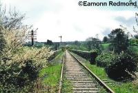 This is the trackbed on Durrow Viaduct, looking west towards Dungarvan, showing the track still intact in 1996. The signal in the distance protected Durrow level crossing, located just east of the station. ©Eamonn Redmond