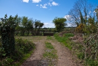 A farm level crossing located to the south of Durrow Station. The gate on the opposite side is an original railway gate. The derelict track through Durrow was lifted in the late 1990s.