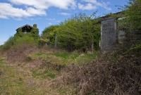 Durrow