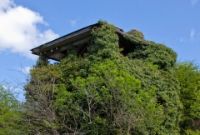 The overgrown signal cabin at Durrow, located at the east end of the station. Unusually tall and with its base built entirely of stone, the cabin may have been a Saxby &#38; Farmer Company design, similar to those cabins constructed on the former Sligo Leitrim &#38; Northern Counties Railway line.