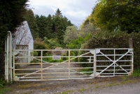 This is the west side of Durrus Rd level crossing, where there was a siding serving a goods store on the down side of the line. The gate posts and gate are original Cork Bandon &#38; South Coast Railway features. Out of view to the right behind the trees is the gate keepers house.