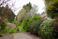 The trackbed on the west side of the level crossing at Durrus Rd, looking towards Bantry. The siding and goods store were once sited to the left of the photo.