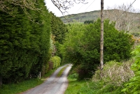 This is the small country lane on which Durrus Rd Station was located. The former crossing gate can be seen on the left where the railway once crossed the road. It was located off the main R586 road to Bantry.