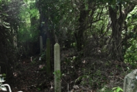 The concrete posts belonging to the fencing on the former up platform remains in situ at Waterfall, as seen here.