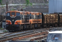 141 Class locomotives Nos.171+141 are seen on pilot duties in Waterford West yard shunting two loaded timber wagons, prior to operating an RPSI railtour to Limerick Jct.