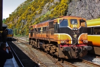 071 Class loco No.078 is seen running around the Railway Preservation Society of Ireland&#39;s &#39;Comeragh Railtour&#39;, while on the left a 22000 Class railcar awaits departure for Dublin.