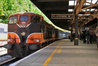 141 Class locomotives Nos.171+141 now stand at the head of the RPSI&#39;s &#39;Comeragh Railtour&#39; at Waterford Station. Both locos was built by GM at La Grange Illinois works, USA, in 1962.